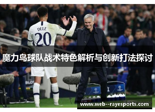 魔力鸟球队战术特色解析与创新打法探讨